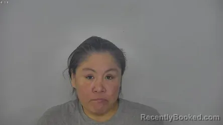 Recent Mugshot Image for PRISCILLA LYNN BULLBEAR in Burleigh County, North Dakota