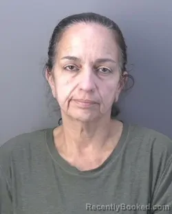 Recent Mugshot Image for BETTY SALABARRIA in Hendry County, Florida