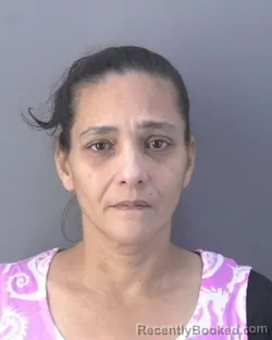 Recent Mugshot Image for ZULEIKA GUZMAN MILLET in Hendry County, Florida