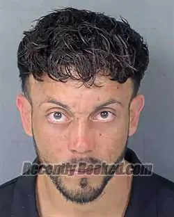 Recent Mugshot Image for DANKIEL BUCHILLON MARTIN in Hernando County, Florida