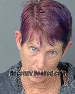 Recent Mugshot Image for JENNIFER LEE THOMPSON in Hernando County, Florida