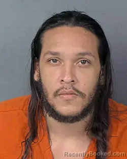 Recent Mugshot Image for DANTE DURRELL in Hernando County, Florida