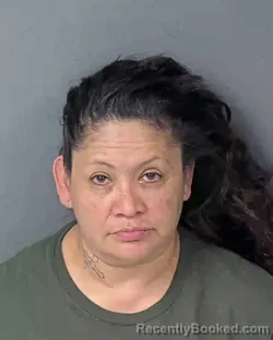 Recent Mugshot Image for VERONICA YVETTE ROBLES in Hernando County, Florida