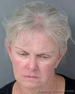 Recent Mugshot Image for PATRICIA MARY SYLING in Hernando County, Florida