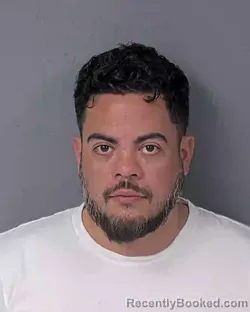 Recent Mugshot Image for JORGE FRANCISCO AROCHO in Hernando County, Florida