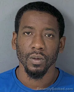 Recent Mugshot Image for DENZEL INGRAM in Hernando County, Florida