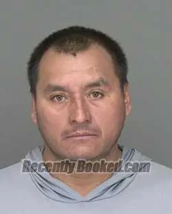Recent Mugshot Image for JOSE CARMEN MARTINEZ-ANTONIO in Highlands County, Florida