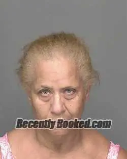 Recent Mugshot Image for DEYANIRA A HOLGUIN in Highlands County, Florida