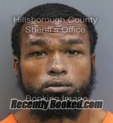 Recent Mugshot Image for RANDARELL LUPATRICK JR RANDOLPH in Hillsborough County, Florida