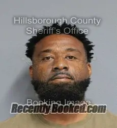 Recent Mugshot Image for JOSEPH CASANOVA BELL in Hillsborough County, Florida