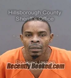 Recent Mugshot Image for LAJUAN LEWIS LEONARD in Hillsborough County, Florida