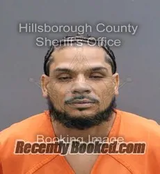 Recent Mugshot Image for EDWARD DIAZ JR in Hillsborough County, Florida