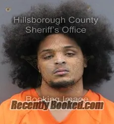 Recent Mugshot Image for JOSEPH JEROME WADE in Hillsborough County, Florida