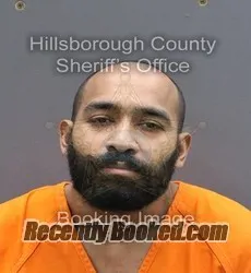Recent Mugshot Image for JEFFREY MINA in Hillsborough County, Florida