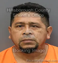 Recent Mugshot Image for WILMAN NAVAS GONZALEZ in Hillsborough County, Florida