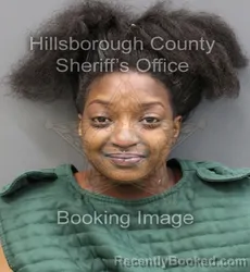 Recent Mugshot Image for LAMYA MARIE JONES in Hillsborough County, Florida