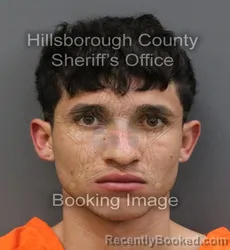 Recent Mugshot Image for HEISER ARZUAGA ANAYA in Hillsborough County, Florida