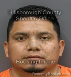 Recent Mugshot Image for ROMARIO MORALES-GONZALEZ in Hillsborough County, Florida