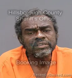 Recent Mugshot Image for LARRY L THOMPSON in Hillsborough County, Florida