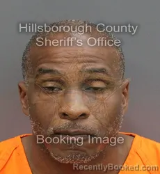 Recent Mugshot Image for RONNIE LEE BEDFORD in Hillsborough County, Florida