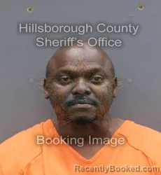 Recent Mugshot Image for VIRTICEE LAMAR THOMPSON in Hillsborough County, Florida