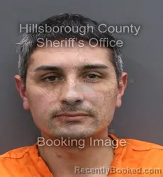 Recent Mugshot Image for DANIEL ANDRES TORRES in Hillsborough County, Florida