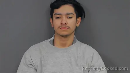 Recent Mugshot Image for Erik David Argueta-Nolasco in Botetourt County, Virginia