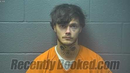 Recent Mugshot Image for DYLAN TYLER DAVIS in Shenandoah County, Virginia
