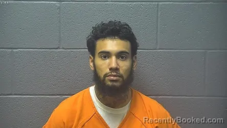 Recent Mugshot Image for DIOMAR DIOMAR RAMOS GONZALES in Shenandoah County, Virginia