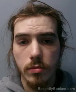 Recent Mugshot Image for Jacob Tyler Harper in Berkeley County, West Virginia