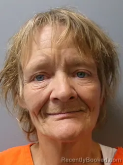 Recent Mugshot Image for Lisa Jo Snow in Berkeley County, West Virginia