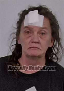 Recent Mugshot Image for Tammy Lee Barnes in Hampshire County, West Virginia