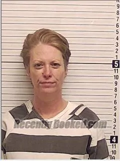 Recent Mugshot Image for ANGELLA DAWN WILLIS in Bay County, Florida