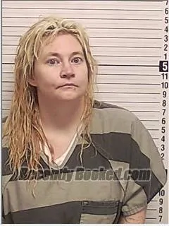 Recent Mugshot Image for CRYSTAL MARIE WILLIAMS in Bay County, Florida