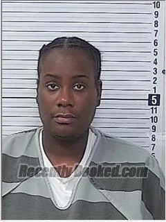 Recent Mugshot Image for TAMEKA AMANDA FEARS in Bay County, Florida