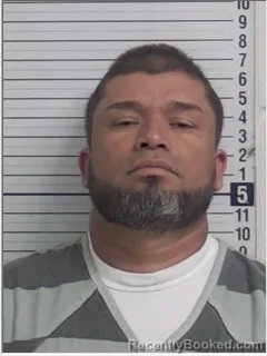 Recent Mugshot Image for DERLI RAMALHO DOMINGOS in Bay County, Florida