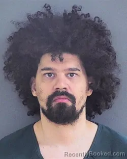 Recent Mugshot Image for WILLIAM EARL DAVIDSON in Chippewa County, Wisconsin