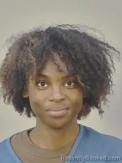 Recent Mugshot Image for JA MIRRAH A WILLIS in Dane County, Wisconsin