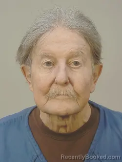 Recent Mugshot Image for TERRANCE LEE MEHUS in Dane County, Wisconsin