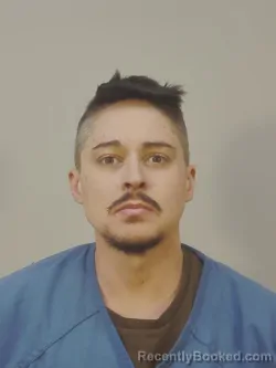 Recent Mugshot Image for ELIJAH COLE MISENER in Dane County, Wisconsin