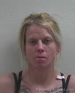 Recent Mugshot Image for CRYSTAL A PHIPPS in Douglas County, Wisconsin