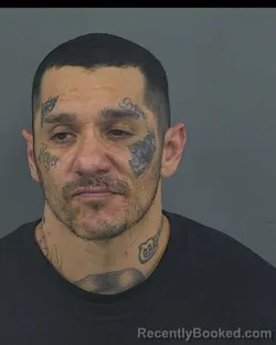 Recent Mugshot Image for MICHAEL SHAWN GROVER in Sawyer County, Wisconsin