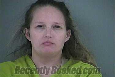 Recent Mugshot Image for SANDRA ASHLY HARRIS in Anderson County, Tennessee