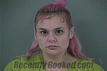 Recent Mugshot Image for HALEIGH BROOKE KRESSIN in Anderson County, Tennessee