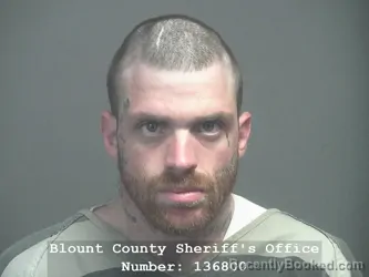 Recent Mugshot Image for BILLY RAY HAMBY in Blount County, Tennessee