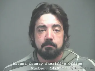 Recent Mugshot Image for RANDALL SCOTT TRUE in Blount County, Tennessee