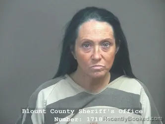 Recent Mugshot Image for APRIL D BLEDSOE in Blount County, Tennessee