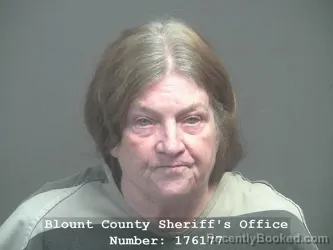 Recent Mugshot Image for MARGARET DENISE WILLOUGHBY in Blount County, Tennessee