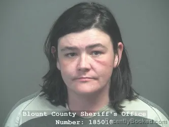 Recent Mugshot Image for HANNAH NICOLE RUBY in Blount County, Tennessee