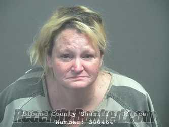 Recent Mugshot Image for SELENA LYNN STOUT in Blount County, Tennessee